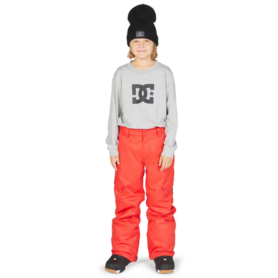 DC Shoes Banshee Kids Pant 2023