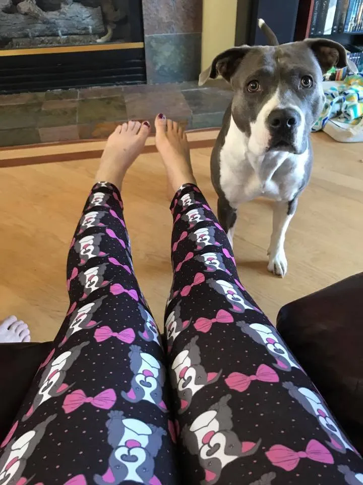 Pitbulls & Bows (Exclusive) - High-quality Handcrafted Vibrant Leggings